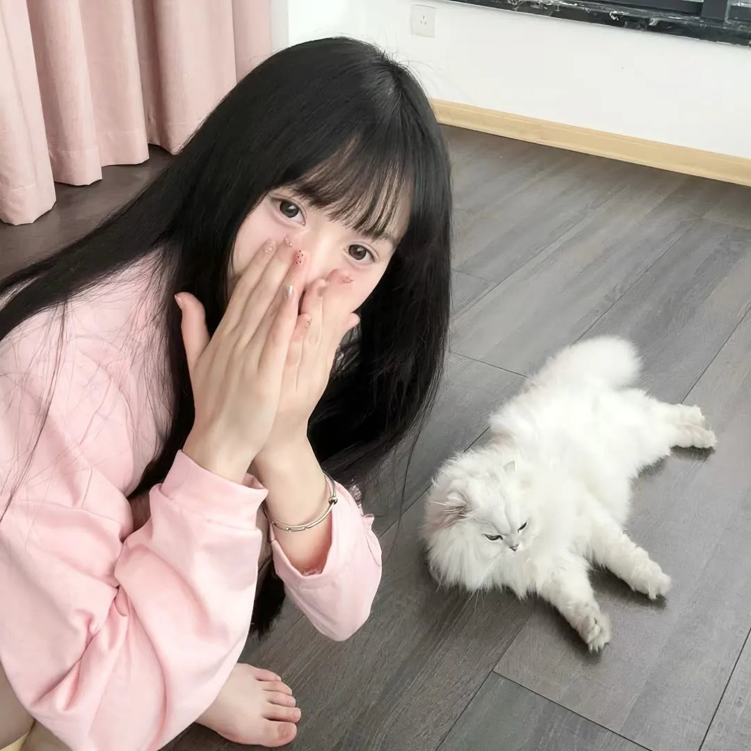 中华熊猫