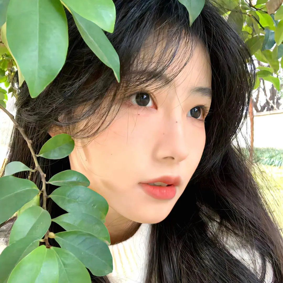 我的解放日志